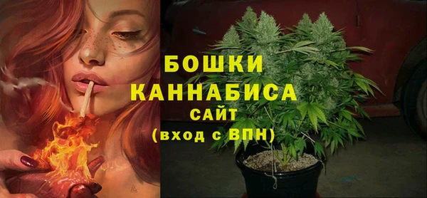 бошки Алексин