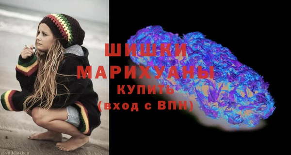 бошки Алексин