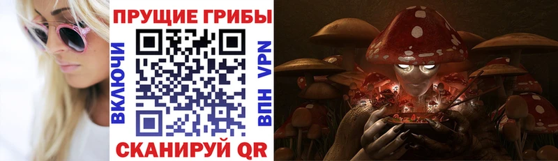 Галлюциногенные грибы мицелий  сколько стоит  Кимры 