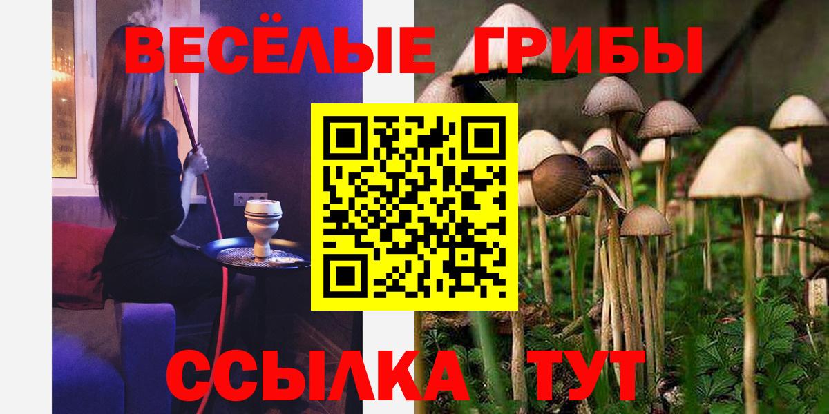Псилоцибиновые грибы Psilocybine cubensis Кимры