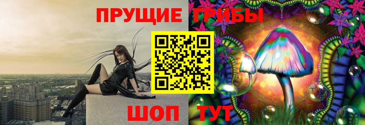 Галлюциногенные грибы MAGIC MUSHROOMS  Галлюциногенные грибы Psilocybine cubensis  Вход с VPN  где найти   Кимры 